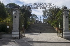 Alameda-2