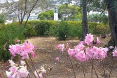 Alameda-29