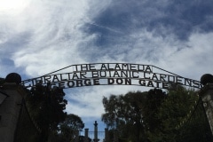 Alameda-7