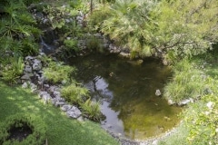 alameda-gardens-2_38736726785_o