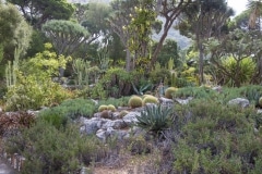 alameda-gardens-4_39603339022_o