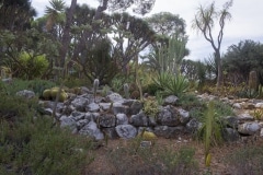 alameda-gardens-8_39603342392_o