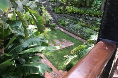 jardn-botnico-de-la-alameda-de-gibraltar_22744206085_o