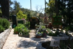 15-de-abril-2016-jardines-de-la-alameda-de-gibraltar-11_26414966676_o