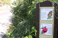 15-de-abril-2016-jardines-de-la-alameda-de-gibraltar-12_25838070013_o