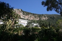 15-de-abril-2016-jardines-de-la-alameda-de-gibraltar-16_26348578752_o