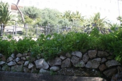 15-de-abril-2016-jardines-de-la-alameda-de-gibraltar-17_26168049530_o