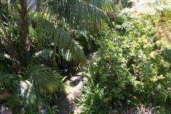 15-de-abril-2016-jardines-de-la-alameda-de-gibraltar-4_26168075250_o