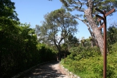 15-de-abril-2016-jardines-de-la-alameda-de-gibraltar-50_26374639791_o