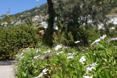 15-de-abril-2016-jardines-de-la-alameda-de-gibraltar-51_26374637391_o