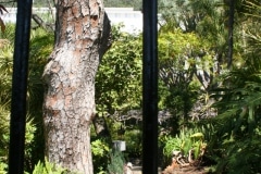 15-de-abril-2016-jardines-de-la-alameda-de-gibraltar-53_26440816895_o