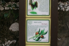 15-de-abril-2016-jardines-de-la-alameda-de-gibraltar-54_26374630491_o