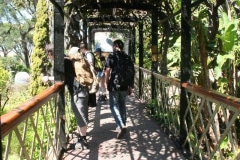 15-de-abril-2016-jardines-de-la-alameda-de-gibraltar-5_26348598742_o