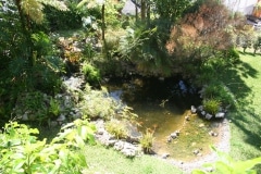 15-de-abril-2016-jardines-de-la-alameda-de-gibraltar-9_25836044814_o