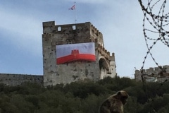 20150911_150931636_ios_22122872883_o