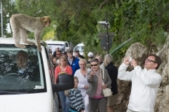 monos-zona-alta-del-pen-con-turistas-06_9222301105_o