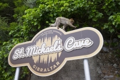 monos-zona-alta-del-pen-con-turistas-10_9222298453_o