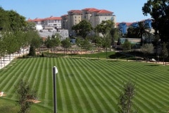 commonwealth-park-16_39603949822_o